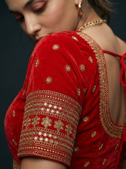 The Velvet Verse Designer Blouse